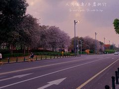 -顺峰山公园