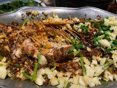 -树厨贵州菜(大十字店)
