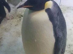 -广州中医药大学深圳医院(福田)