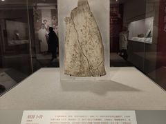 -北京大学赛克勒考古与艺术博物馆