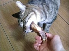 -三毛烤鸡(清泰街店)