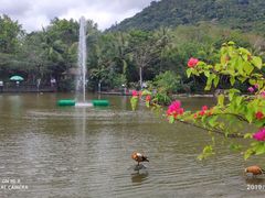 -呀诺达热带雨林