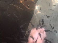 -溧阳天目湖天沐温泉