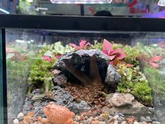 -三旗百汇商品城