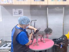 -宠福鑫康馨动物医院·骨科·眼科