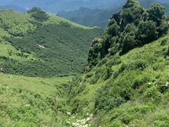 -灵山