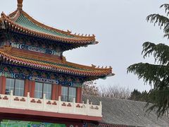 -龙口南山旅游景区