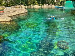 -新加坡水上探险乐园