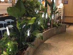 -润园四季椰子鸡火锅(南山海岸城店)