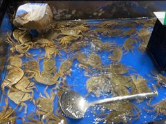 -亚马逊海鲜自助(梅溪湖步步高店)