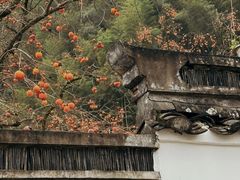 -丹山赤水风景名胜区