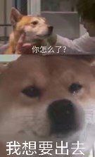 -蒙自源过桥米线(红谷滩万达店)