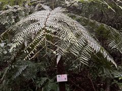 -赤水丹霞旅游区·佛光岩