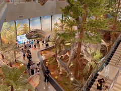 -湖南省地质博物馆