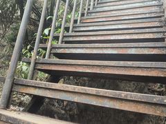 -七仙岭温泉国家森林公园