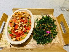 -油梨树AVOCADO TREE(嘉里中心店)