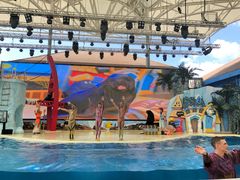 -三亚海昌梦幻海洋不夜城