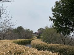 -天目湖涵田度假村