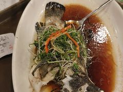 -金鮀岛潮州酒家