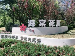 -海棠花溪(元大都城垣遗址公园)