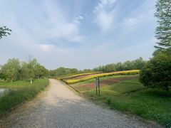 -梁鸿国家湿地公园