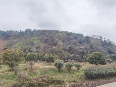 -会稽山峡洞漂流-上青古道