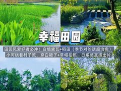 -老鼎万春卤菜(五代传承创始老店)