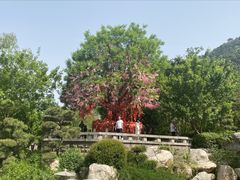 -华清宫景区