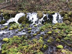 羊蹄山自然公園 图片 北海道 大众点评网