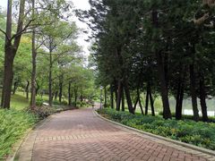 -深圳龙潭公园
