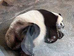 -宁波野生动物园