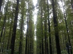 android_upload_pic-上海怡沁园度假酒店