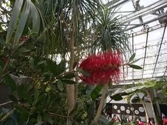 -北京植物园-展览温室