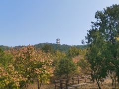 -北京十三陵国家森林公园蟒山景区