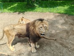 -北京野生动物园