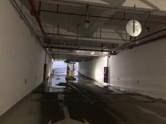 -泊安飞浦东物流大道停车场