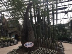 -南山植物园
