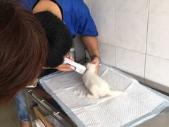 -畜牧兽医站(共江路店)