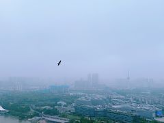 -云龙山