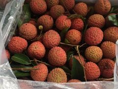 荔枝-白沙菜市场