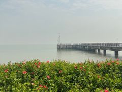 -深圳湾公园(南山区)