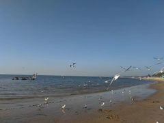 -老虎石海上公园