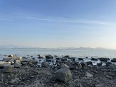 -深圳湾公园(南山区)