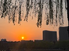 -西海子公园