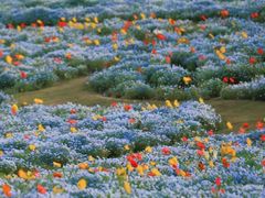 -上海辰山植物园