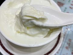双皮奶-义顺牛奶公司(新马路老店)