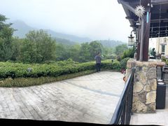 -浙江安吉JW万豪酒店·万豪中餐厅