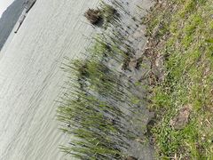-渤公岛生态公园