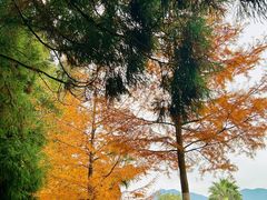 -福清灵石山国家森林公园