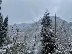 -九峰山